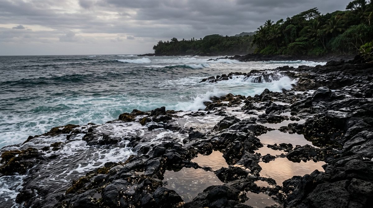 Garis air pasang membasahi karang di pantai saat laut mulai naik